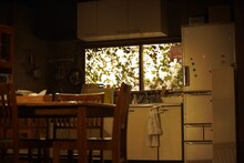 TAAC「犇犇」より。（撮影：堀川高志）