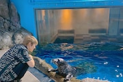 七海ひろき(左)とアザラシ。