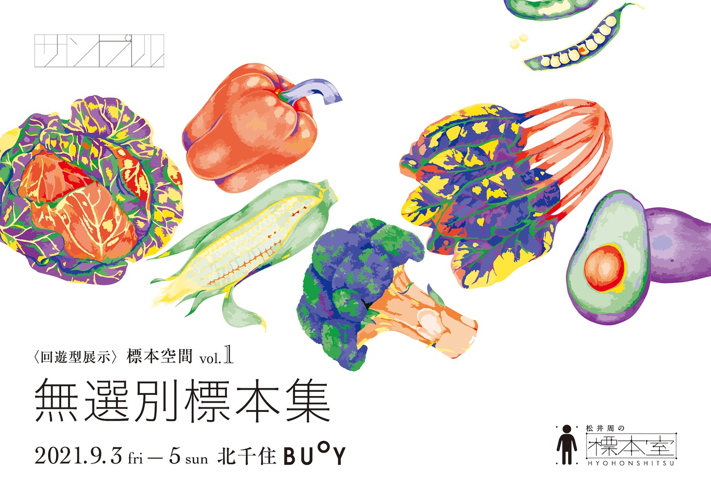 「松井周の標本室 ＜回遊型展示＞ 標本空間vol.1『無選別標本集』」ビジュアル