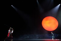 「ムサシ」より。（撮影：田中亜紀）