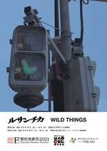 ルサンチカ「WILD THINGS」チラシ表