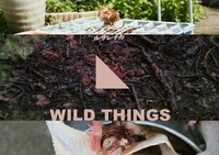 ルサンチカ「WILD THINGS」ビジュアル