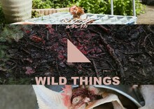 ルサンチカ「WILD THINGS」ビジュアル