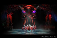 スターダンサーズ・バレエ団公演「バレエ『ドラゴンクエスト』全2幕」より。