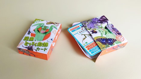 昆虫カードケース