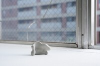 迫竜樹の成果物。（撮影：冨田了平）