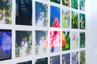 リリー・シュウ（LILY SHU）の成果物。（撮影：冨田了平）