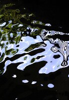 能とアートに触れる秋「夜能 平家物語［清経］×BEYOND PHOTO BY HIROSHI SEOより。