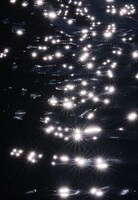 能とアートに触れる秋「夜能 平家物語［清経］×BEYOND PHOTO BY HIROSHI SEOより。