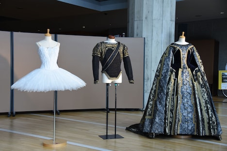 新国立劇場 2021 / 2022シーズン 新国立劇場バレエ団「『白鳥の湖』＜新制作＞」制作発表で披露された衣装。