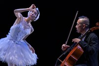 酒井はな「瀕死の白鳥 その死の真相」より。(c)Naoshi Hatori