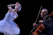 酒井はな「瀕死の白鳥 その死の真相」より。(c)Naoshi Hatori