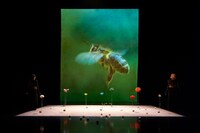 「みつばち共和国」より。(c)K.Miura