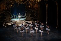 熊川哲也 Kバレエ カンパニー Autumn Tour 2021「シンデレラ」より。（Photo by Izumi Sakurai）