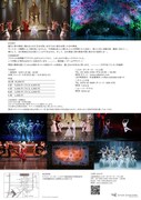 スターダンサーズ・バレエ団公演「バレエ『ドラゴンクエスト』全2幕」チラシ裏