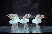 新国立劇場 2021 / 2022シーズン 新国立劇場バレエ団「『白鳥の湖』＜新制作＞」公開舞台稽古より。（撮影：鹿摩隆司）