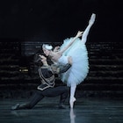 「やっとたどり着けた」と吉田都、新国立劇場バレエ団「白鳥の湖」明日開幕