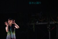 Baobab「ジャングル・コンクリート・ジャングル」より。（Photo by Manaho Kaneko）