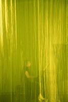 向井山朋子「KUMANO」（熊野）より。(c)Mayumi Hosokura