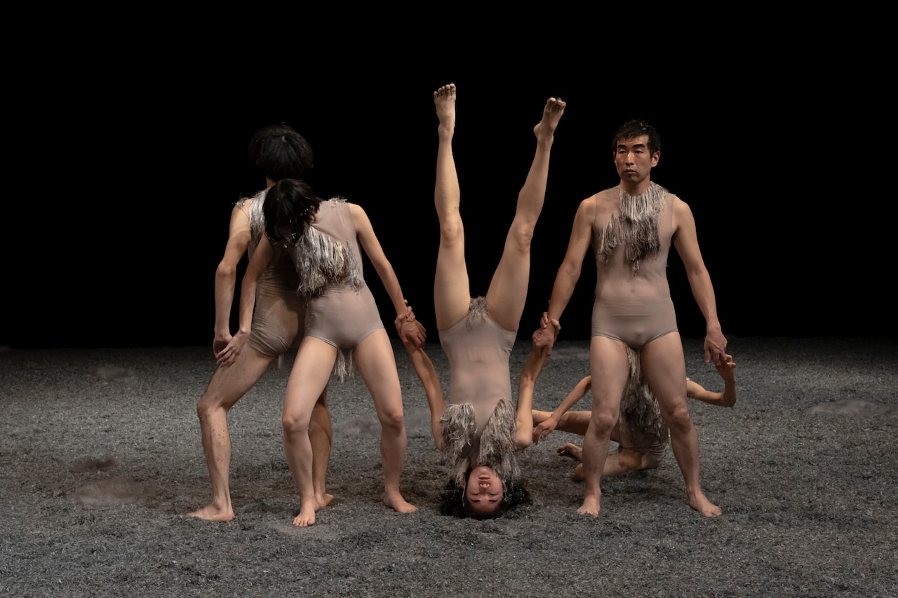 関かおりが人間の営み描く「むくめく む」開幕、「記憶や想像の琴線に触れたい」