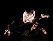 「HAI」より。(c)大洞博靖