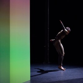 身体に残された可能性を探る、コレット・サドラー「Learning from~」配信開始