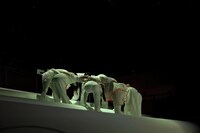 高校生と創る演劇「ミライハ」より。（撮影：伊藤華織）