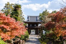 百景社「駈込み訴え」の会場となった三重・塔世山 四天王寺。(c)オモタニカオリ