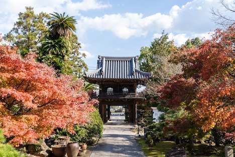 百景社「駈込み訴え」の会場となった三重・塔世山 四天王寺。(c)オモタニカオリ