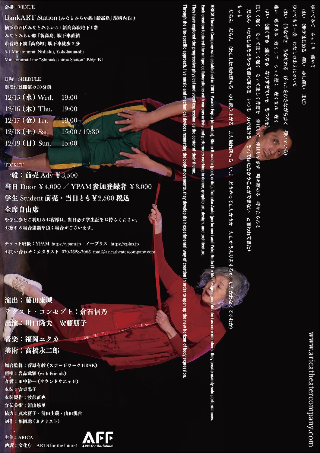 ARICA「ミメーシス」チラシ裏