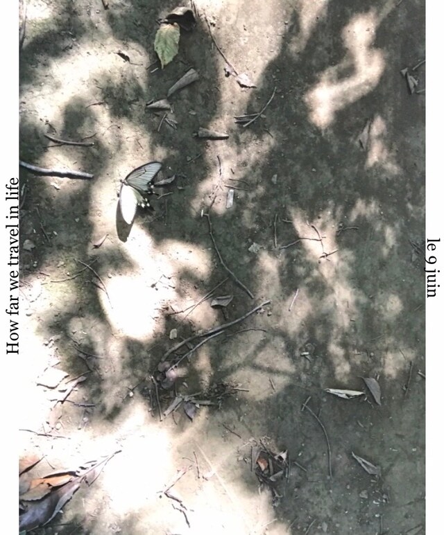le 9 juin「How far we travel in life」ビジュアル