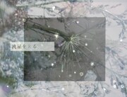 藤井ちより「流星をとる」ビジュアル