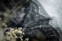 LeLaSaのレース。