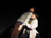 三匹と三羽「野良犬」より。