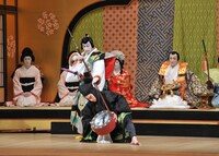 「新春浅草歌舞伎」（2016年）より、「毛抜」。(c)松竹