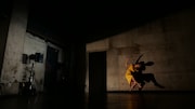 笠井瑞丈×上村なおか 新作ダンス公演「未来の世界 / never knows」より。(撮影:鈴木雅晴)