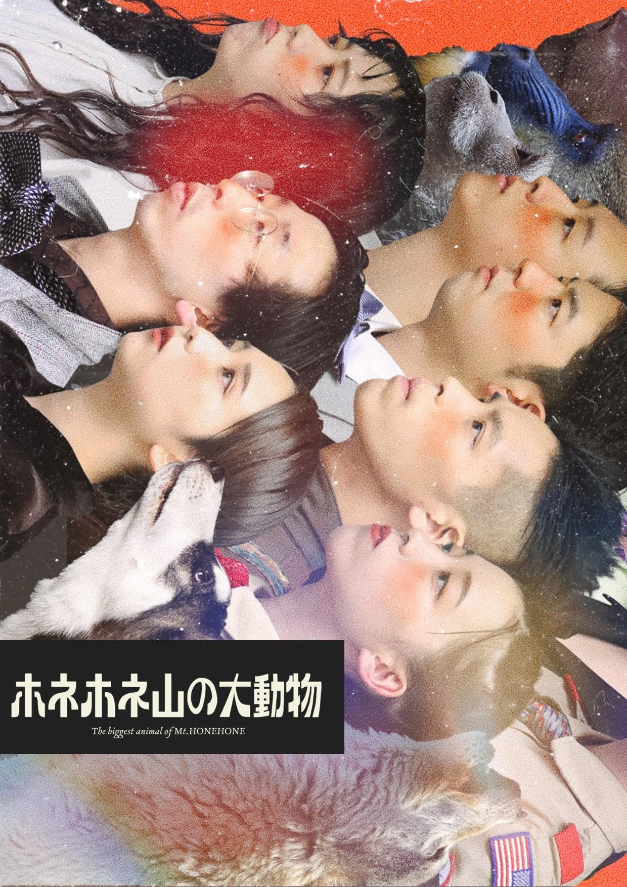 南極ゴジラ 2022 本公演「ホネホネ山の大動物」チラシ表