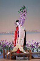 「坂東玉三郎 初春特別舞踊公演」より、「藤娘」の様子。(c)松竹