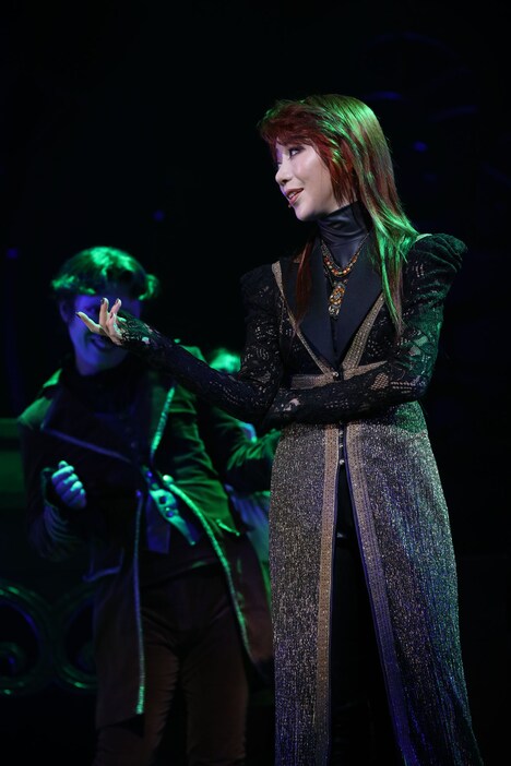 ミュージカル「ヴェラキッカ」より。（撮影：遠山高広）