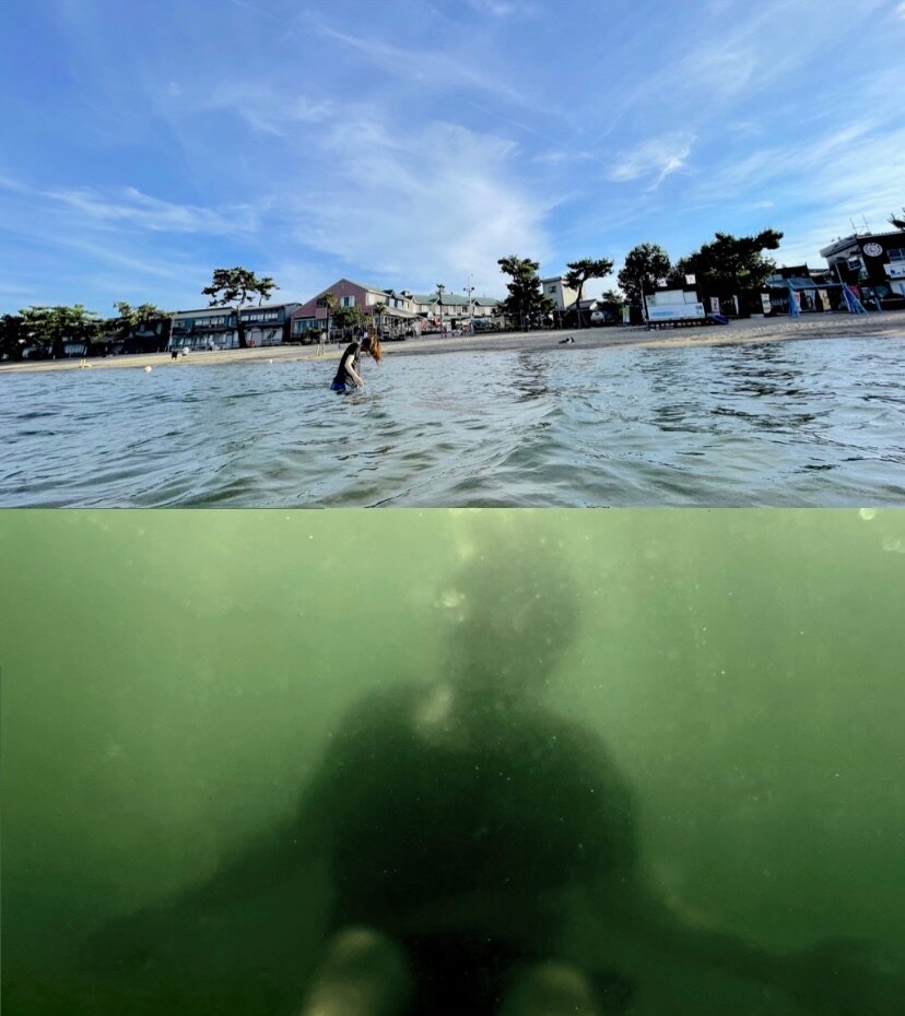 倉田翠×飴屋法水の共同制作シリーズの最終版がBUoYで