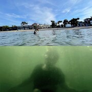 倉田翠×飴屋法水の共同制作シリーズの最終版がBUoYで