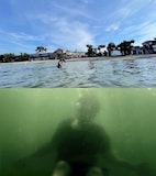 倉田翠×飴屋法水 終着、東京「三重県足立区甲府住吉メゾン・ド・メルシー徒歩0分、入浴中」メインビジュアル