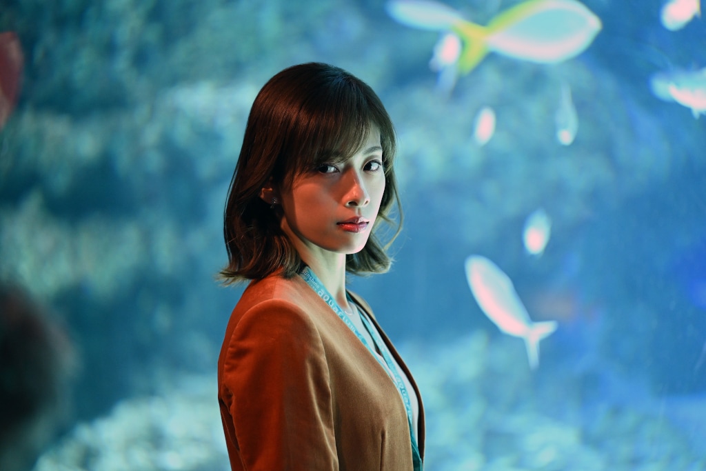 日曜劇場「DCU」第6・7話ゲストに明日海りお、水族館のプロデューサー役