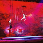 BS松竹東急でコクーン歌舞伎「東海道四谷怪談 北番」ほかを3週連続放送