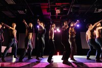 男肉 du Soleil 過去公演より。