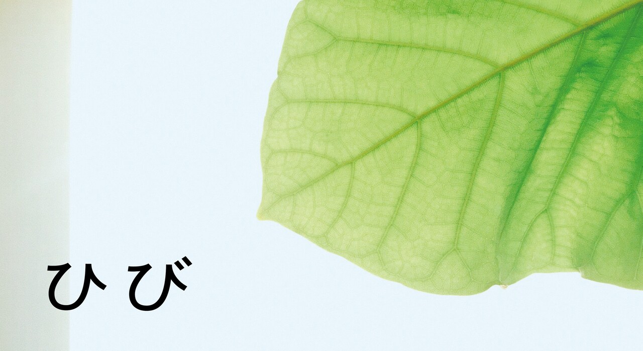 マームとジプシー、「ひび」の新メンバーを募集中