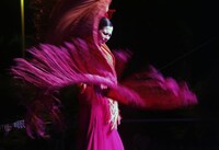 「赤と黒の交響詩（シンフォニー）」イメージビジュアル