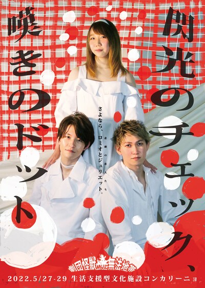 劇団怪獣無法地帯 第33回公演「閃光のチェック、嘆きのドット」チラシ表