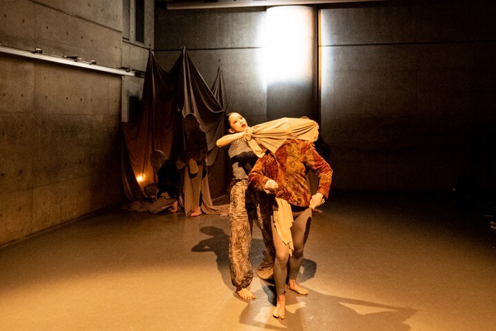 ダンスショーケース「B,C&D」に平原慎太郎「3つの作品がどれも眩く輝いてます」