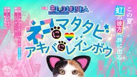 「舞台『ネコにマタタビ、アキバにレインボウ』～この夏、虹の彼方へ旅にでる～」ビジュアル
